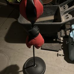 Kids Boxing Bag Set With Gloves 