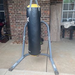 Everlasting Punching Bag With Stand And Speed Bag