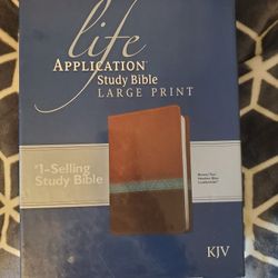 Life Application Study Bible Large Print