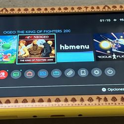 Nintendo Switch Lite With Chip Hwfly/Picofly