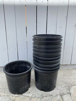 Squat 5 Gallon Pot Nursery Gardening Plant Tree Container