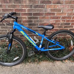 Schwinn Thrasher Bike