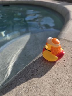 Swim Instructor/Personal Trainer