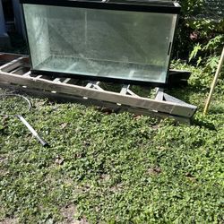 90 Gallon Fish Tank