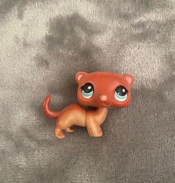 LPS Ferret #334