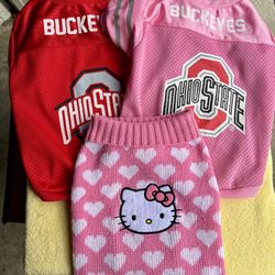 Gently Used Medium Dog Shirts Worn By A Pug