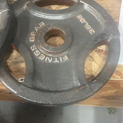 35 Pound  Plates