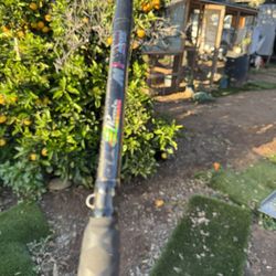 Phoenix M1 Conventional Rod