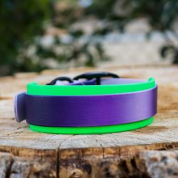 Two Tone Biothane Collars 