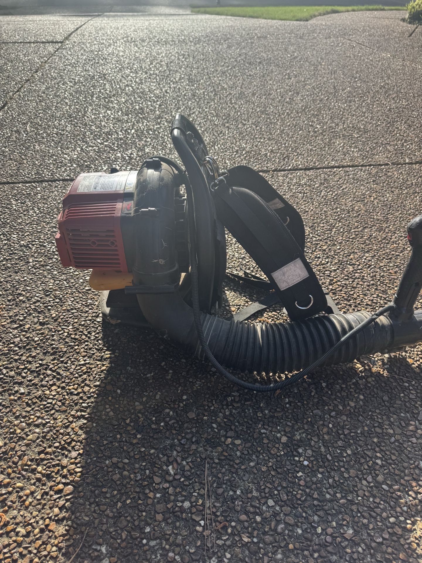 Backpack Leaf Blower — Runs Great — 25cc