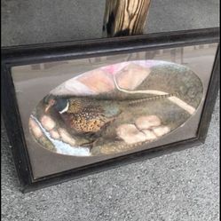 Rare 1925 Pheasant Under Glass