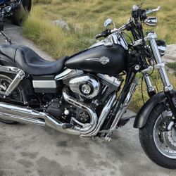 2008 Harley Davidson Fatbob