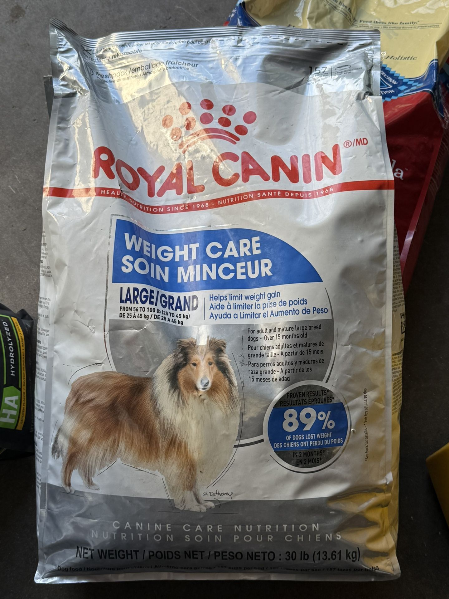 Dog Food 