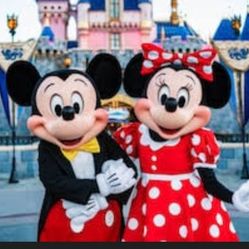 Disneyland 1 day 1 park Tier 6