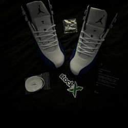  Blueberry Jordan 12s