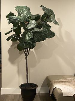 6' Faux Fiddle Leaf Fig Tree For Indoor/Outdoor Decor  