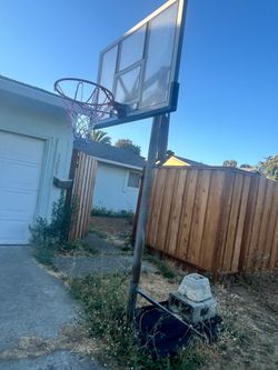 Basket ball hoop