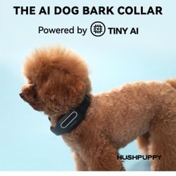 AI bark Collar