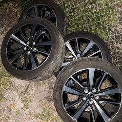 Maxima Rims with Tires