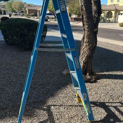Werner 6ft Ladder