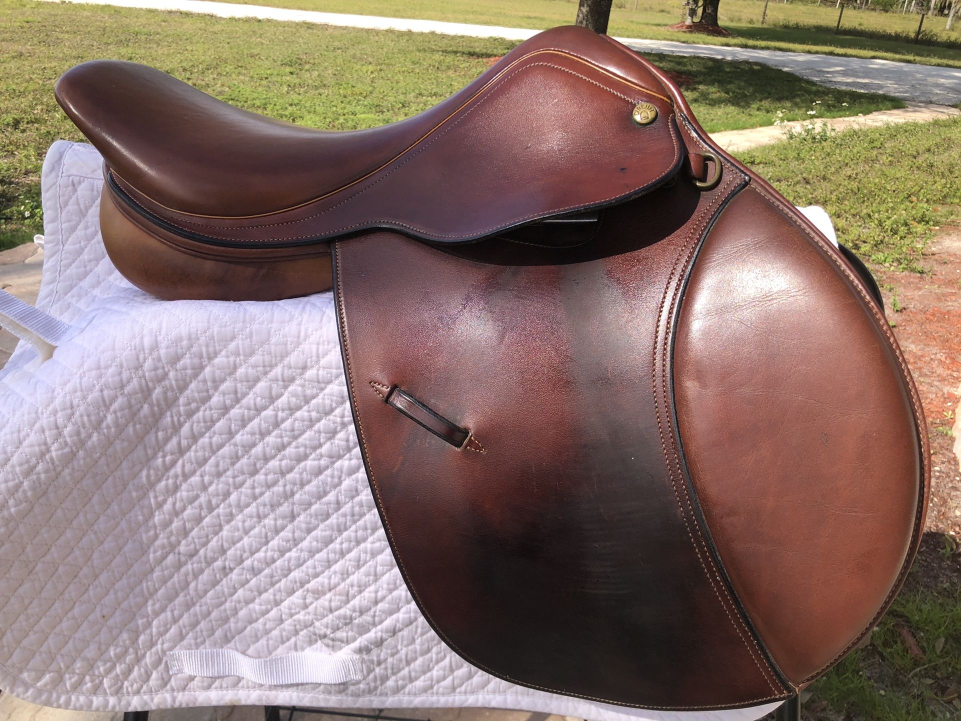 Dover Circuit Saddle 16.5”