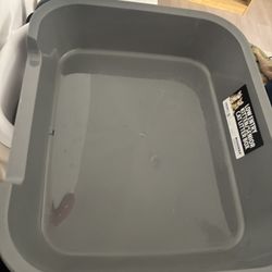 BRAND NEW EVERYTHING 