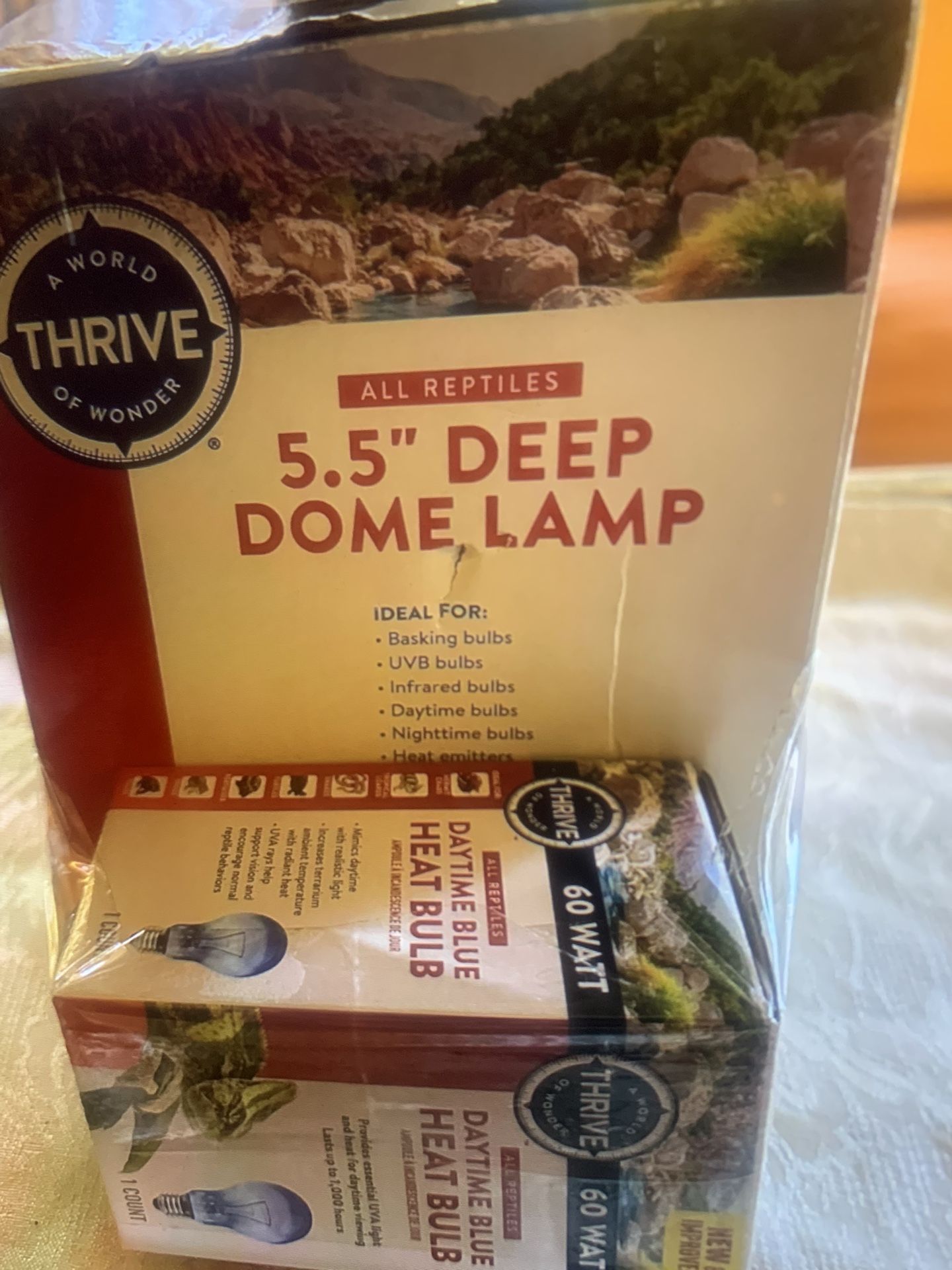 REPTILE LAMP
