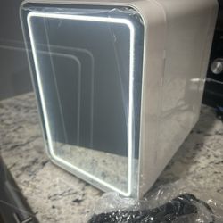 Portable Skin Cosmetics Refrigerator 