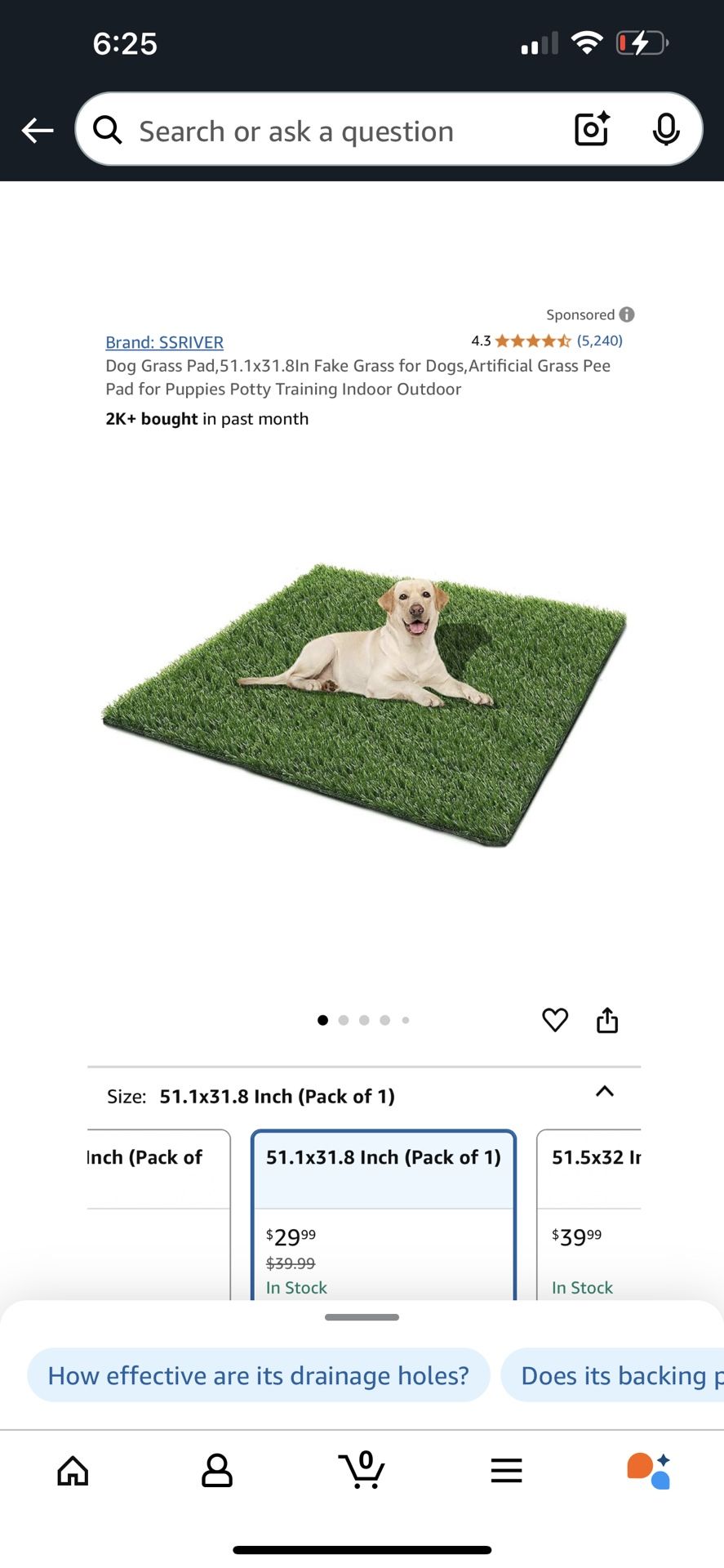 Pet Grass