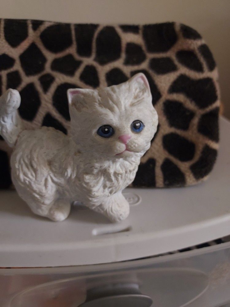 White Kitten