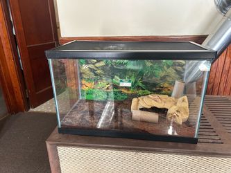 Reptile tank