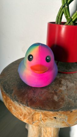 Duck squeezy new