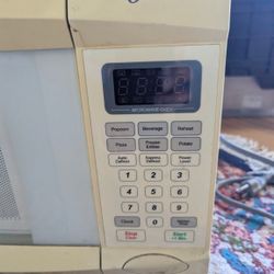 Small Oyster Microwave 