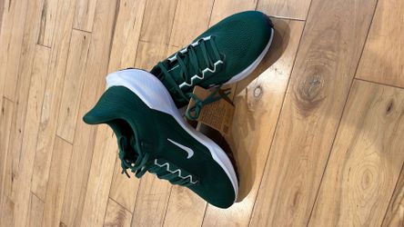 Women’s Nike Air Pegasus 41 size 10