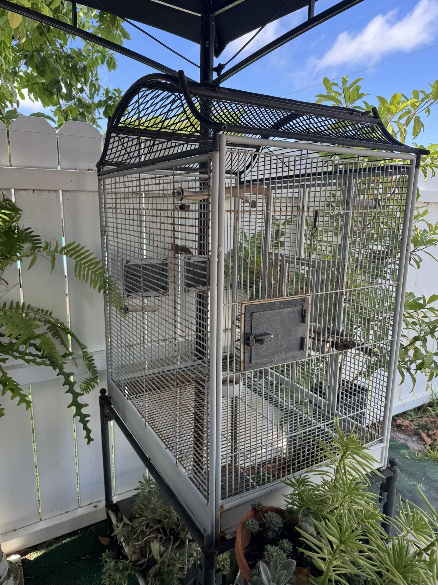 Bird Cage