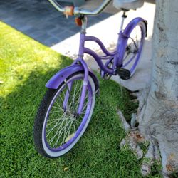 Beach Cruiser