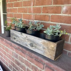 Succulent Planter Box