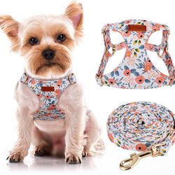 Brand New  dog harness and leash Set