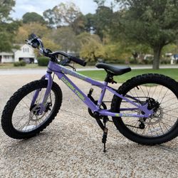 20” Wheel Ozark Trail Bike 