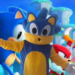 Sonic Costume For Sale Adult Size