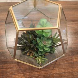 Decoration Fake Suculent Plants 