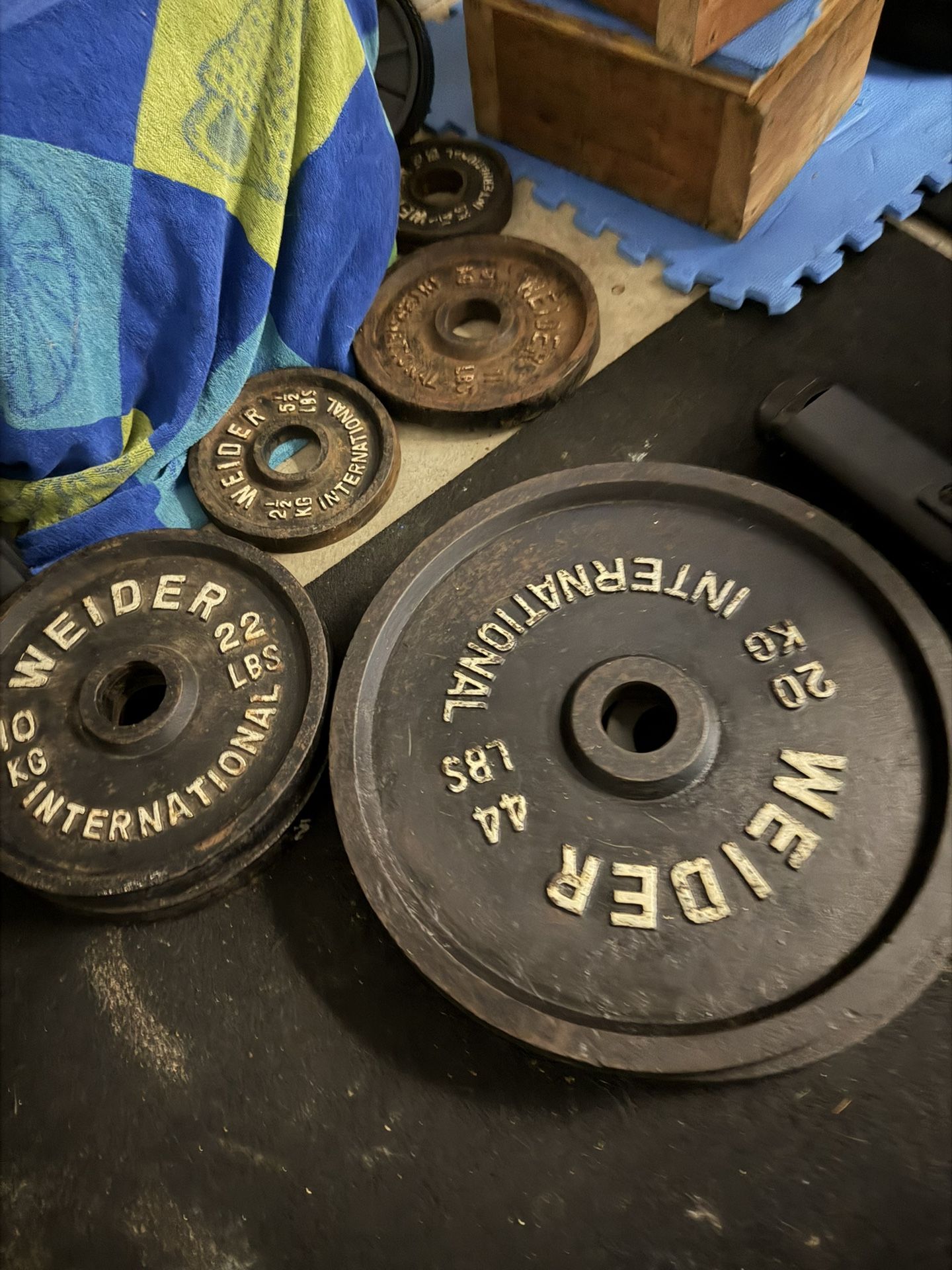 Olympic Weights And Exercise Bike