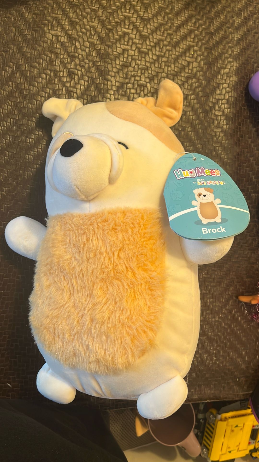 Squishmallows Hug Mees REGNIALD The CORGI DOG 10"