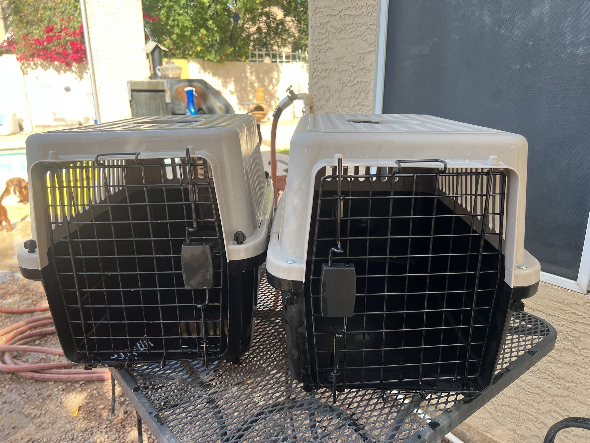 2 Dog Crates (can Sell Separate)