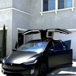 Tesla Model X - 6 Seater