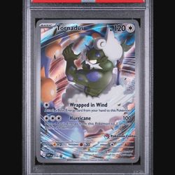 Pokémon Slab