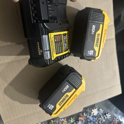 2. 5AH batteries and 1. Charger 