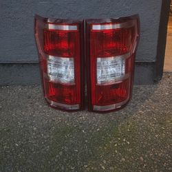2018-2020 Ford F150 Taillights