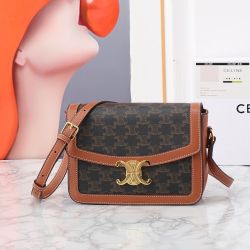 CELINE.TRIOMPHE Shiny Calfskin Handbag