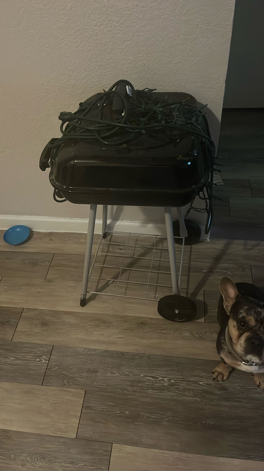 Grill